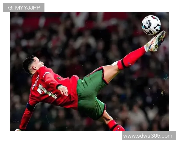 足坛巨星全景百科揭秘从传奇到新秀的荣耀与故事